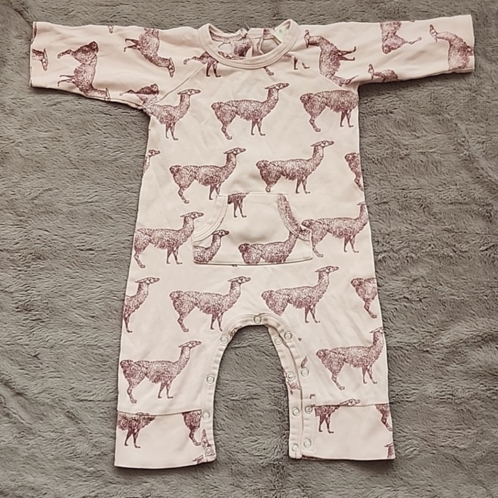 Kate Quinn‎ -- 6 to 12 months - Lammas